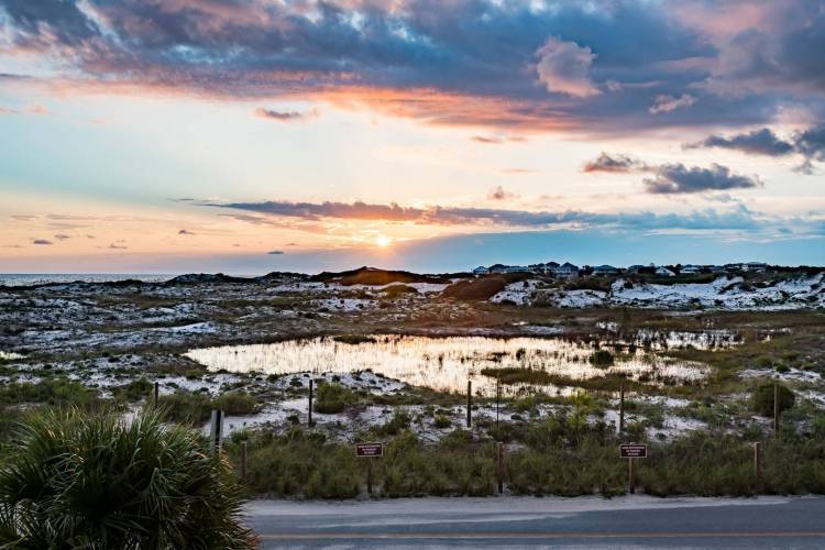 Sunset on the sand dunes on 30A